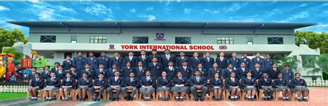 York International School