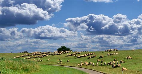 So vielfältig ist gute laune. Ferien in Otterndorf an der Elbmündung.