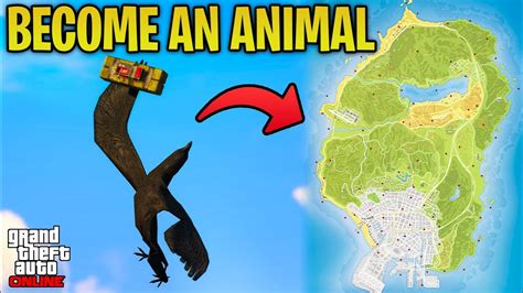 Gtaforums does not endorse or allow any kind of gta online modding, mod menus, tools or account mods are able to introduce animals into online like right now. Turn into Animals THIS WEEK Using Peyote Plants in GTA 5 ...