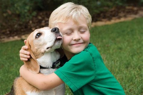 5 Lições De Vida Que As Crianças Aprendem Com Os Cães