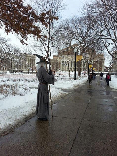 True Story Gandalf Appears At University Of Minnesota During Exams