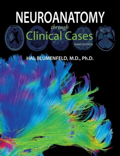 Blumenfeld H Neuroanatomy Through Clinical Cases 9780878936137
