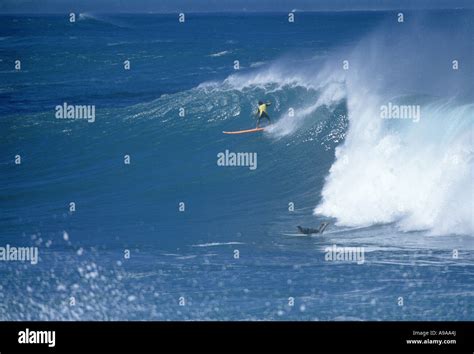 Surfers On Big Shorebreak Wave Waimea Bay North Shore Oahu Hawaii Usa