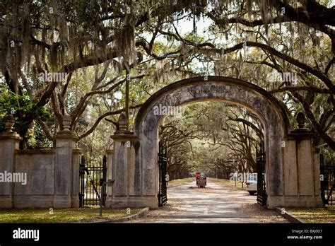 Stately Oaks Plantation Hi Res Stock Photography And Images Alamy