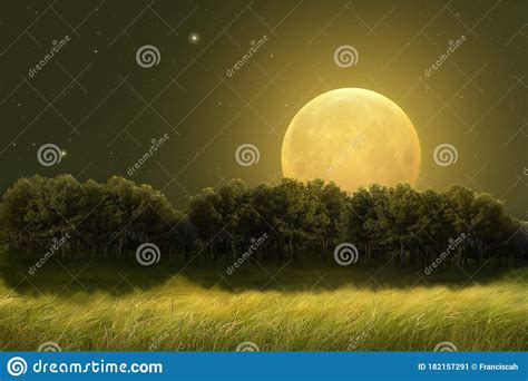 Fantasy Yellow Moon And Trees In The Meadow Stock Image Image Of