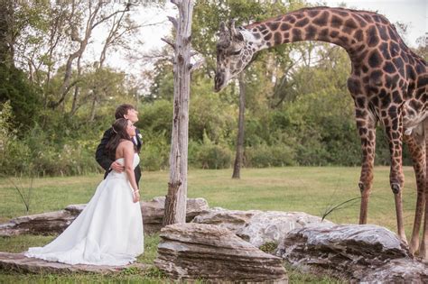 Nashville Zoo Wedding Photo Matt Andrews Photography Alabama Gulf
