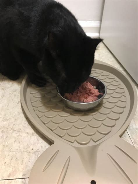 Also of note, darwins had a major cs snafu last year (it was all over their yelp) related to a computer system upgrade. Darwin's Raw Cat Food Review | Dog food recipes, Animal ...