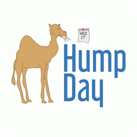 Hump Day Camel Sticker Hump Day Camel Sticker