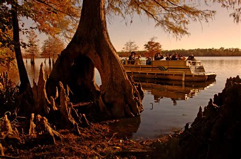 This wildlife reserve of south central louisiana features 6,400 acres of rolling. America's State Parks | Lake village, State parks ...