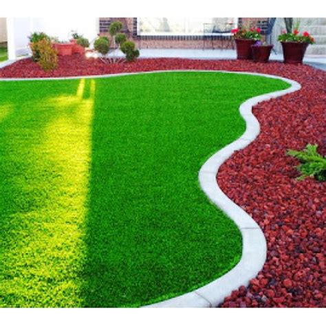 Membuat taman minimalis dengan rumput jepang dengan area lahan 2x6 meter. Cek Harga Grosirnya Japonica Grass Benih Rumput Jepang ...