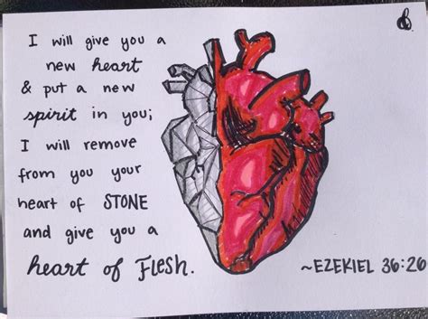 Ezekiel 3626 Heart Of Stone To Flesh Heart Drawing Heart Sketch