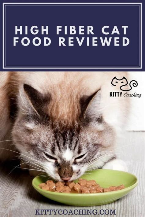 Our top five picks for the best cat food for constipation. High Fiber Cat Food Reviewed (2018)
