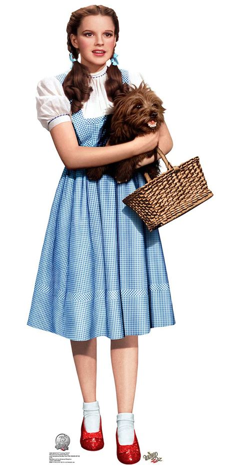 Dorothy Wizard Of Oz Google Search Dorothy Wizard Of Oz Dorothy Costume Toto Wizard Of Oz