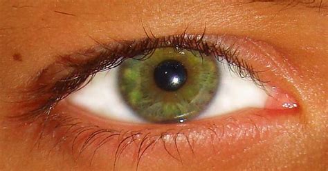 Til That Green Eyes Are One Of The Rarest Eye Colors 1 Of People Have Them I M Part Of The 1