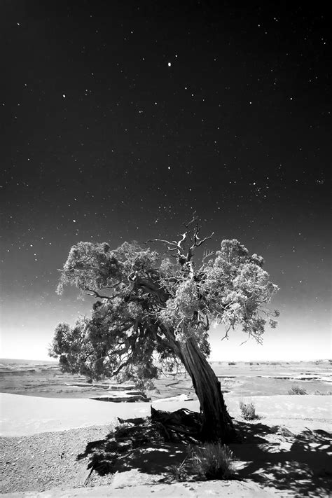 Night Skies In Canyonlands National Park David Mayhew Photography