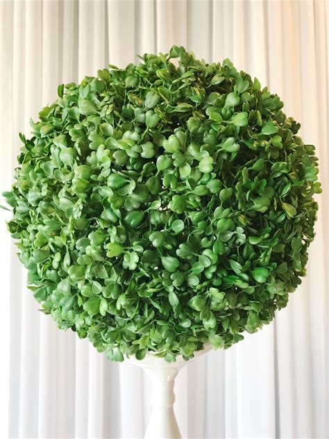 ✅ free shipping on many items! Boxwood Ball - All Occasions Rentals