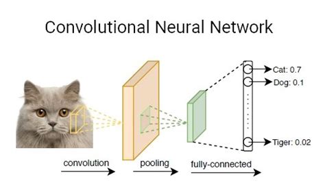 Deep Learning Part 3 Convolutional Neural Networks Cnn Vrogue