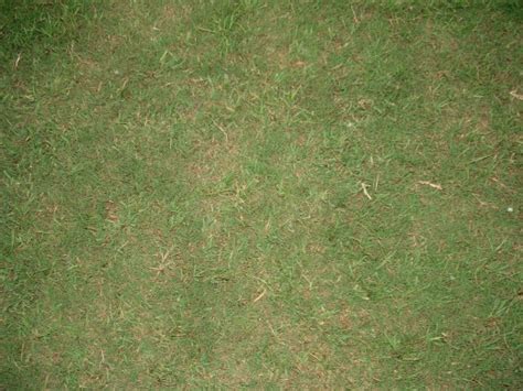 20 Free Glorious Grass Textures For Your Designs Tutorialchip