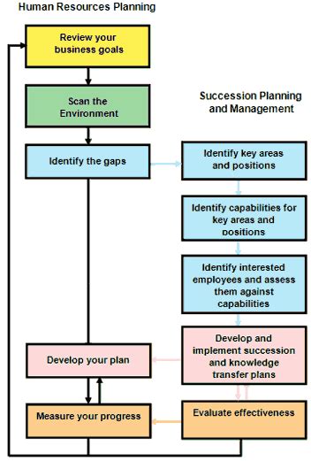 It is a simple tool which is used by organizations to raise their performance level. Succession planning and management guide