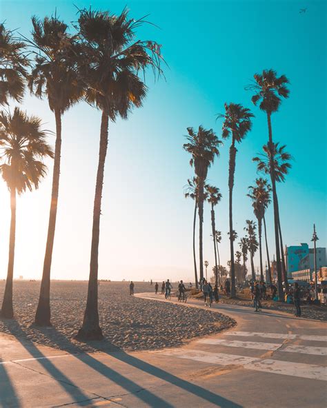 Los Angeles Venice Beach Wallpaper Hd Picture Image