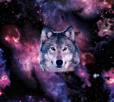 Galaxy Wolf Pic Galaxy Wolf Rainbow Wallpapers Cave Experisets