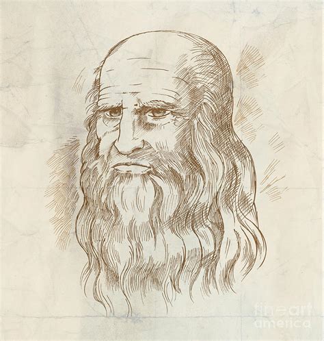 Hand Drawn Portrait Leonardo Da Vinci Drawing By Domenico Condello