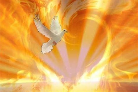 A White Dove Flying In Front Of A Heart Shaped Fire And Flames