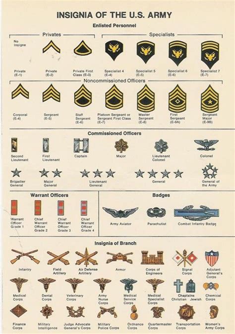 Military Rank Structure Chart Images And Photos Finder