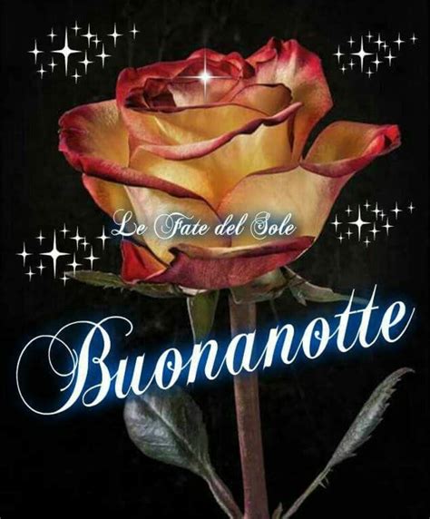 La rosa rosa indica indica tenerezza, gratitudine, amicizia. 10 immagini di Buona Notte con le rose - top10immagini.it
