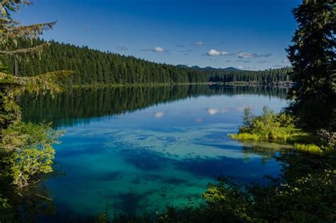 Crystal Clear Lake Waters Hide Ancient Forest Where You Can Swim Above