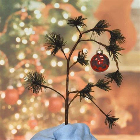 October 21, 2010 from then this is the perfect christmas tree. How to get your apartment Christmas-ready
