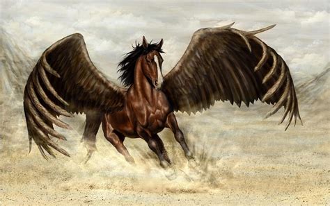 Pegasus Pferd - Pferd Einhorn Pegasus Pferd Tiere Sein Drachen Png