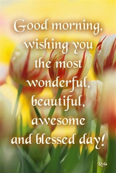 Wishing You The Most Wonderful Beautiful Awesome And Blessed Day Pictures Photos And Images