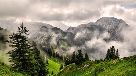 Download Wallpaper 1920x1080 Fog Mountains Forest Peaks