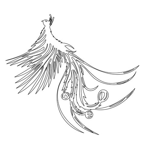 Premium Vector Phoenix Bird Sketch Contour Vector