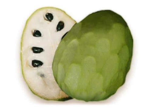 Fruta Verde Por Fora E Branca Por Dentro