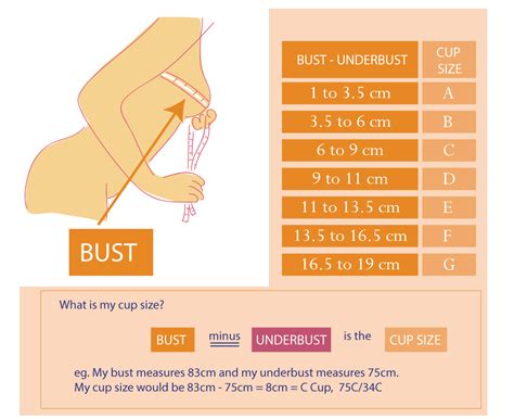 Measuring Bra Size Calculator Primoname