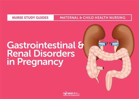 Gastrointestinal And Renal Diseases In Pregnancy • Nurseslabs