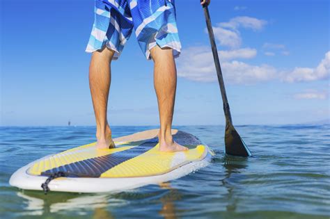 How to use paddle in a sentence. Guía para principiantes Paddle Surf (Parte I) - Avensport