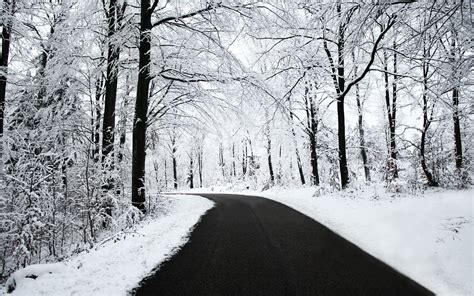 Road Snow Black White Winter Forest Nature