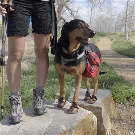 Snuggy boots orthotic & footwear suspenders is the ultimate protective care for your dog's paws. Dog Mocs Dog Boots - 2 Pack with Same Day Shipping | BaxterBoo