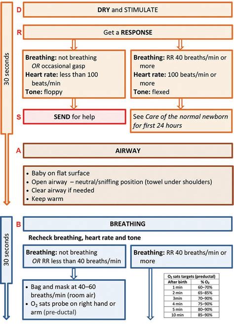 Newborn Resuscitation Flowchart Flow Chart Newborn Study Tools