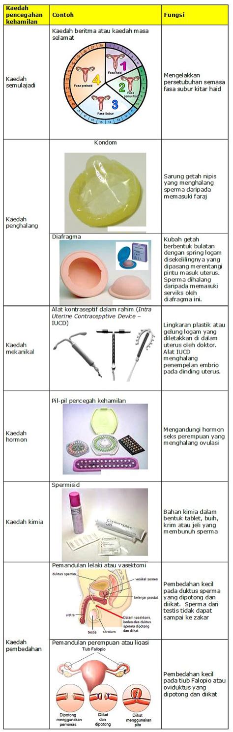 Sains tingkatan 2/form 2 bab 4. PT3: Sains Bab 4-Tingkatan 3