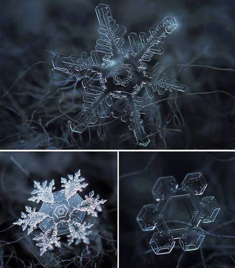 Alexey Kljatov Snow Crystal Snowflake Designs Micro Photography