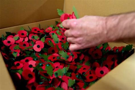 Poppy Appeal Launch 2016 What Is Armistice Day And Why Do We Wear A Red Poppy For Remembrance