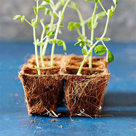 Follow These 10 Steps to Create a Successful First Garden | Starting