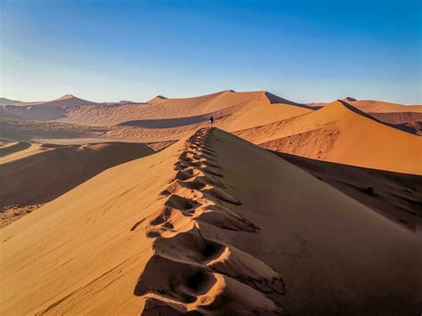 Dune 45 Sossusvlei Namibia Four Worn Soles