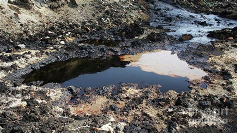 Former Dump Toxic Waste Effects Nature From Contaminated