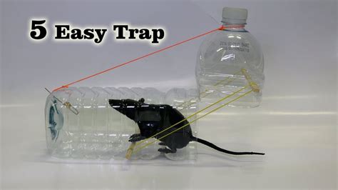 Easy Mouse Rat Trap YouTube