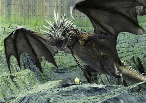 Top 10 Strongest Magical Creatures In Harry Potter Hobbylark